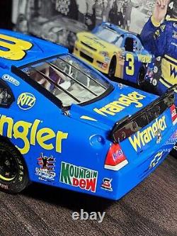 2010 Dale Earnhardt Jr #3 Impala Wrangler / Daytona Win RACED VERSION 124