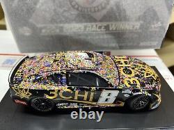 Autographed Kyle Busch 2023 #8 RCR 3CHI Gateway World Wide RWV 1/24 Action Chevy