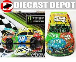 Kyle Busch 2019 Homestead Win Raced Version M&ms 1/24 Action