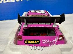 NASCAR Elliott Sadler #19 2009 Dodge Charger Action 124 Susan Komen Pink Car