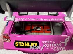 NASCAR Elliott Sadler #19 2009 Dodge Charger Action 124 Susan Komen Pink Car