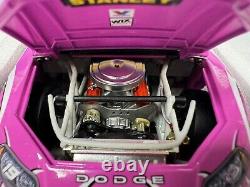 NASCAR Elliott Sadler #19 2009 Dodge Charger Action 124 Susan Komen Pink Car
